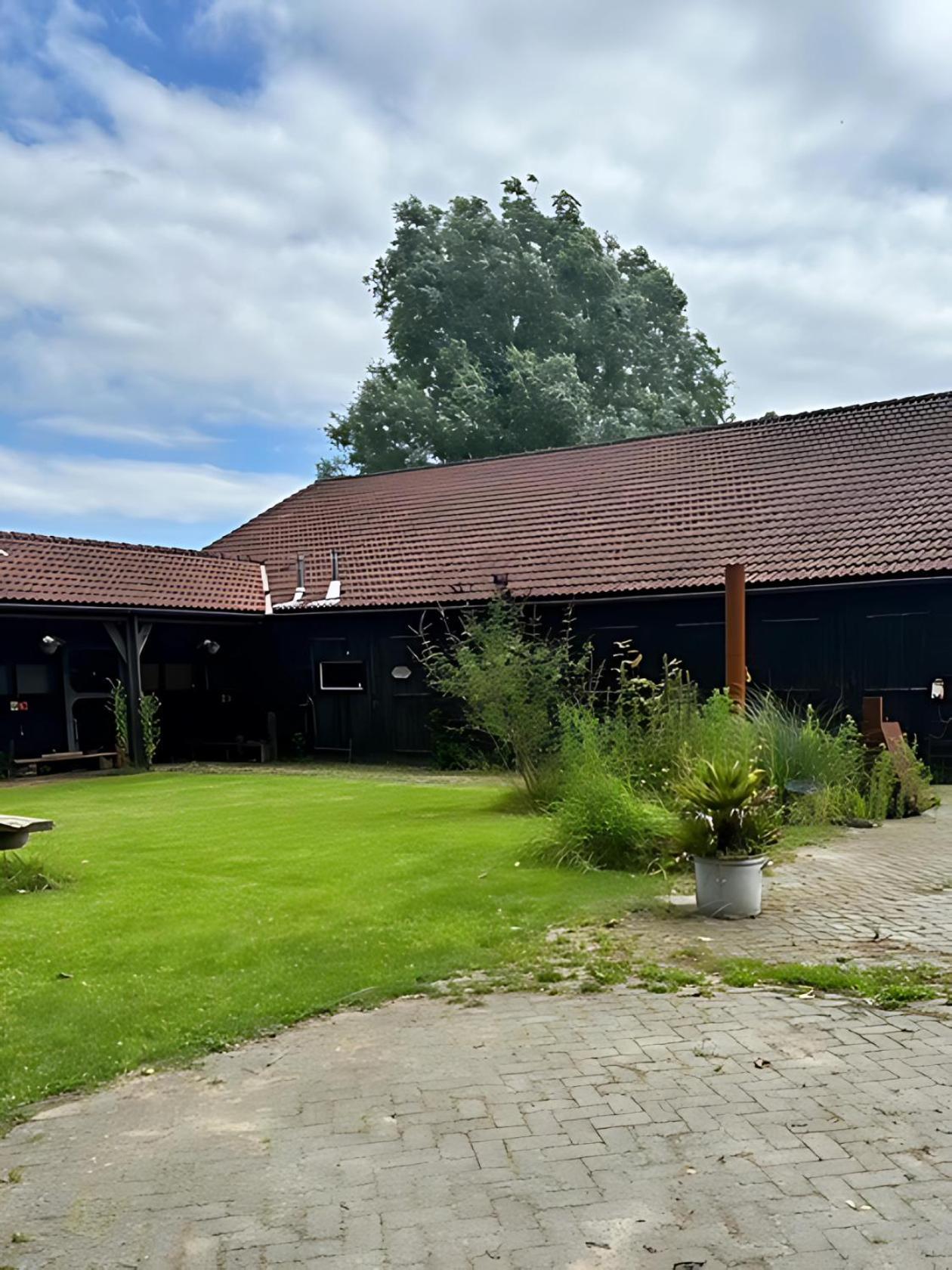 Back To Basic Hotel Zwaanshoek Eksteriør billede